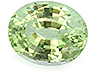 Tsavorite Single Oval Slightly to Moderately included