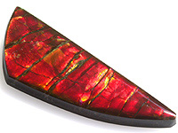 Ammolite