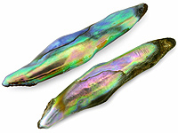Abalone Pearls