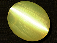 Single Chrysoberyl Cats Eye YCB133ac