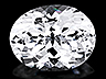 Phenakite
