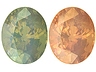 Alexandrite Single Oval Slightly to Moderately included