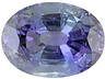 Tanzanite Single Oval Moderately included