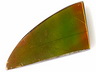 Ammolite Single Fancy Opaque