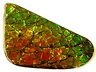Ammolite Single Fancy Opaque
