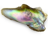 Abalone Pearls