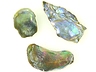 Abalone Pearls