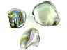 Abalone Pearls
