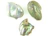 Abalone Pearls