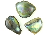Abalone Pearls