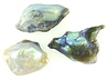 Abalone Pearls