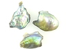 Abalone Pearls
