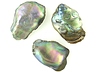 Abalone Pearls