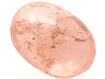 Triplite Single Oval Translucent