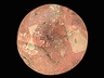 Triplite Single Round Heavily included