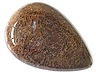 Dinosaur Bone Single Pear Translucent