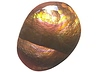 Fire Agate Single N/A Translucent