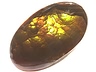 Fire Agate Single N/A Translucent