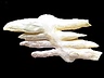 Fresh Water Pearl Single Baroque Translucent