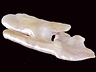 Freshwater Pearls Closeout Fancy Translucent