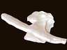Freshwater Pearls Closeout Fancy Translucent