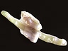 Freshwater Pearls Closeout Fancy Translucent