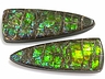 Ammolite Pair Fancy Opaque