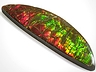Ammolite Single Fancy Opaque