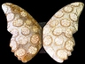 Agate Pair Butterfly Translucent