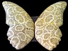 Agate Pair Butterfly Translucent