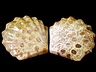 Agate Pair Fancy Opaque