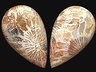 Agate Pair Pear Opaque