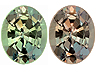 Alexandrite