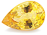 Chondrodite