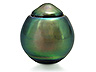 Tahitian Pearl