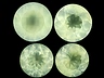 Prehnite Mixed Lot Round Slightly to Heavily included