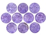 Tanzanite Closeout Round Slightly to Heavily included