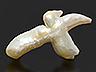 Freshwater Pearl