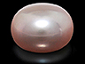 Freshwater Pearl Button 1.100 CTS