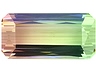 Bi Color Tourmaline Single Octagon Eye clean