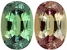 Alexandrite Single Oval Eye clean
