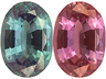 Alexandrite Single Oval Eye clean
