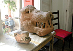 Original Dinosaur Bone