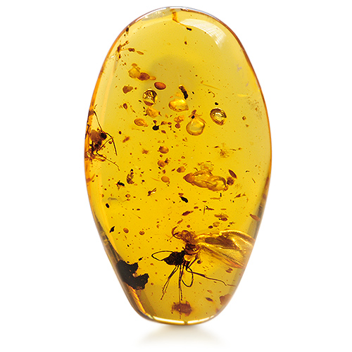 Single Amber YAR105aa