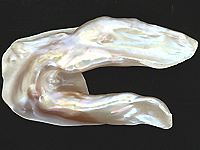 Freshwater Pearl