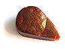 Fire Agate Single (XFAG110ch)