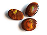 Fire Agate
