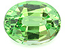 Tsavorite  Oval Slightly included