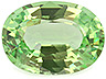 Tsavorite  Oval Slightly included