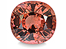 Malaia Garnet Single (MG10536ad)